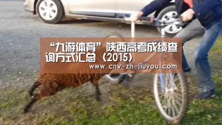 九游体育